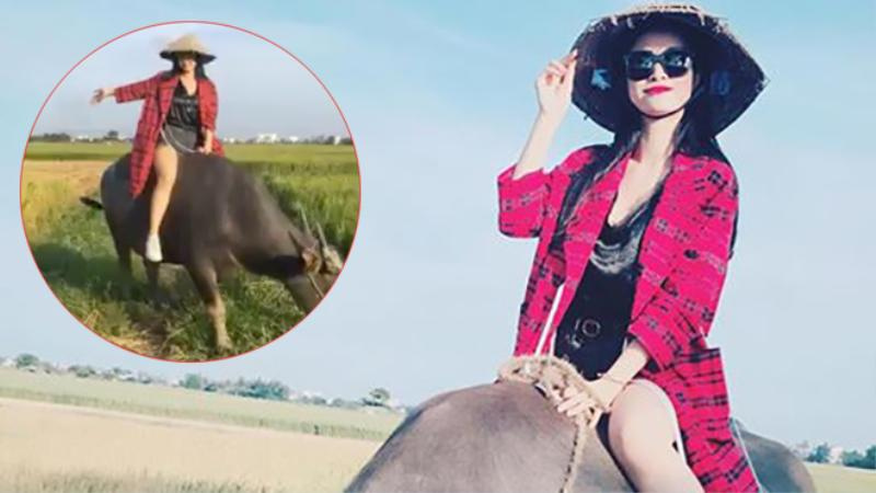 Pasted 68 Nằm mơ thấy trâu đánh con gì khi bản thân đang cưỡi trâu