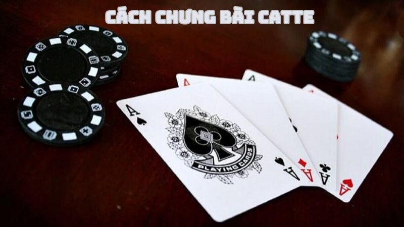 bai catte 3 Bàn chơi Catte thường có 2-6 người cùng tham gia